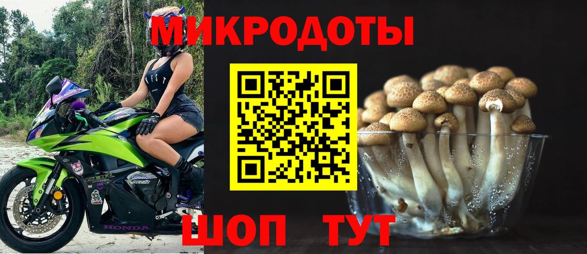 Галлюциногенные грибы Psilocybine cubensis Аксай